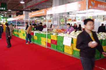 11月19日，超大参加首届中国（温州）特色农业博览会